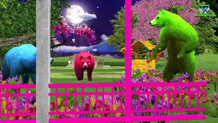 Finger Family Children Nursery Rhymes Dog and Cats Cartoons | Finger Family Rhymes For Kids