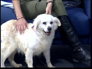 Las Mañanas I 17 enero 2017 I Parte II