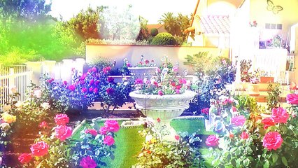 Un touriste au paradis INSTRUMENTAL Vincent LAMMOUR