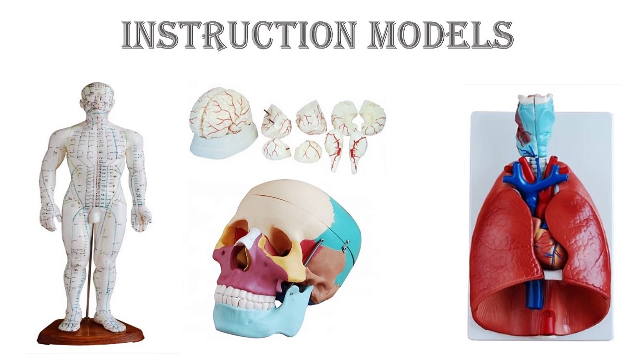 Instruction Models