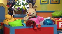 Counting 1234!   Learning Numbers for Kids   Counting Videos for Children   Harry the Bunny