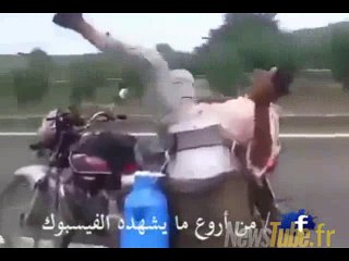 livraison express laitier vite