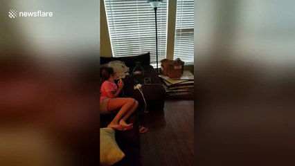 This cat thinks she's a human