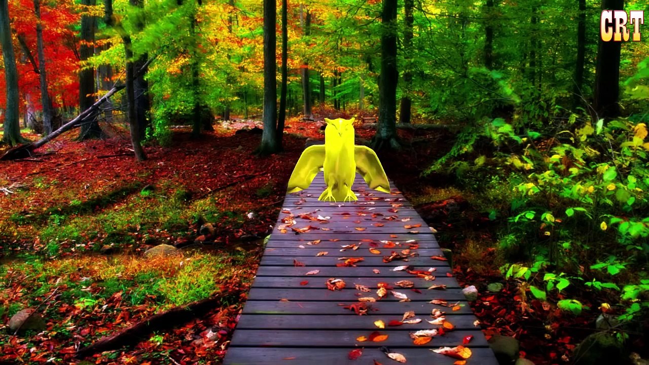 Colourfull Guitar Colour Song Learning Nursery Rhymes For Cartoon Kids Rhymes Collection