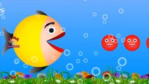 Learn Colors with Fish Eating Crazy Balls   Surprise Colours to Children Kids Baby   Fishing Videos
