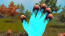 Bear Finger Family Rhymes 3D Animated Top 10 Finger Family Songs For Children