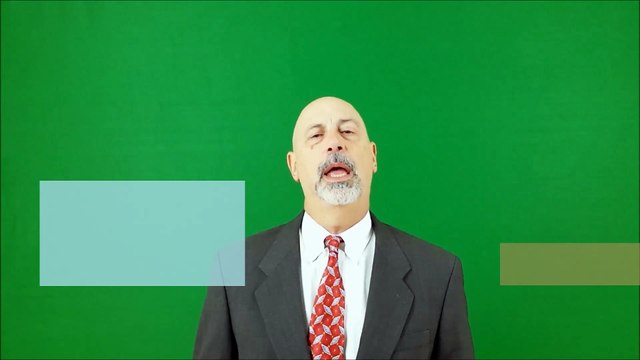 Wedding photographer in Toronto - Mango Studios