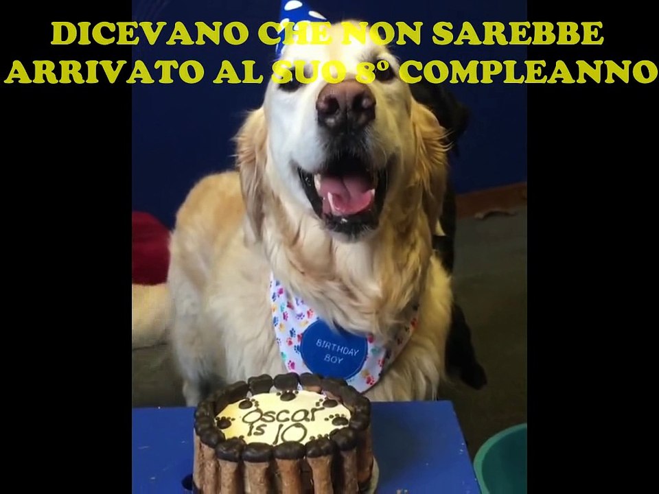 Oscar e il suo 10° Compleanno