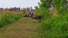 Floride : un alligator géant filmé par des touristes