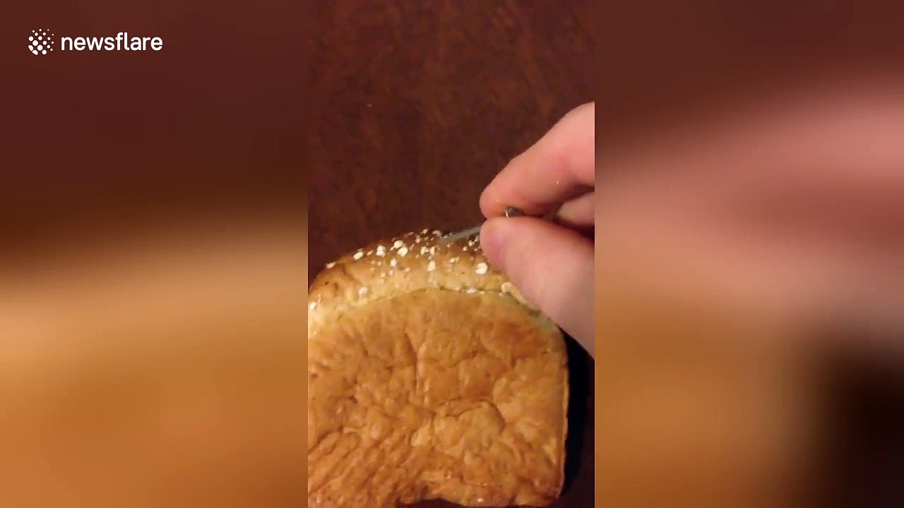 Man 'fixes' hole in wall with a slice of bread