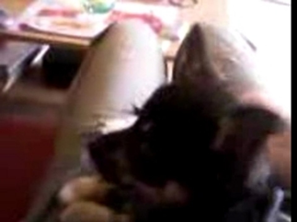 Vidéo 0001