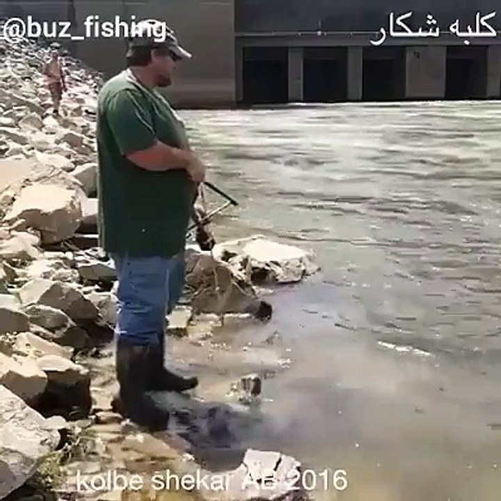 fish killl