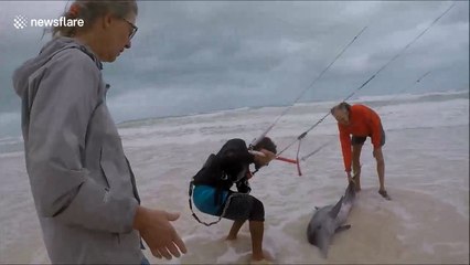 Kiteboarders rescue stranded dolphin