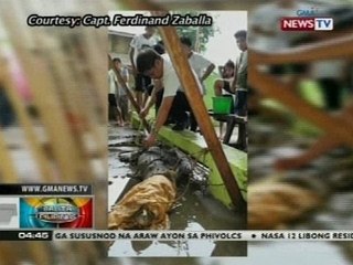 BP: Mahigit 2 metrong buwaya, nahuli ng isang mangingisda sa Palawan