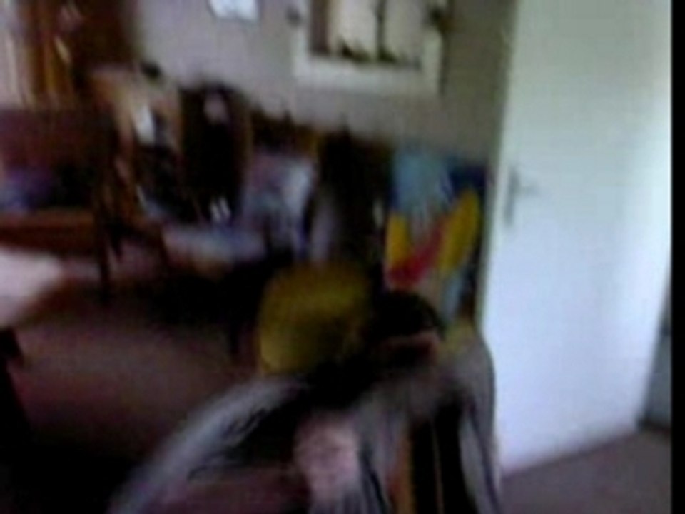 Video-0006
