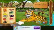 Zoo Keeper Care For Animals - TabTale Android gameplay Movie apps free kids best top TV film