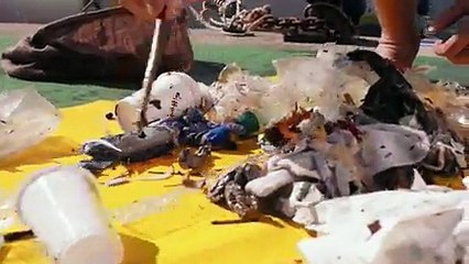 Seabin Cleans Up the Ocean Outrageous