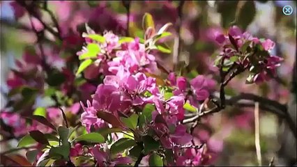 Kids vocabulary - Learn English for kids - English educational video