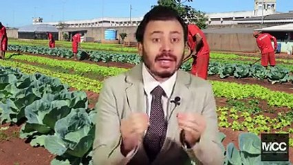 Presos a trabalhar para ajudar nos custos