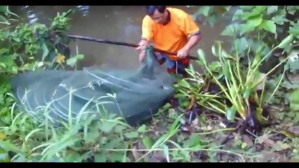 Top 5 ตกปลาที่น่าตื่นตาตื่นใจในกัมพูชา - กัมพูชาดั้งเดิมตกปลา Cambodia Traditional Fishing