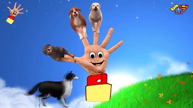 The Finger Family 3D DOG - 3D Animals Collection Rhymes - Animation Nursery Rhymes