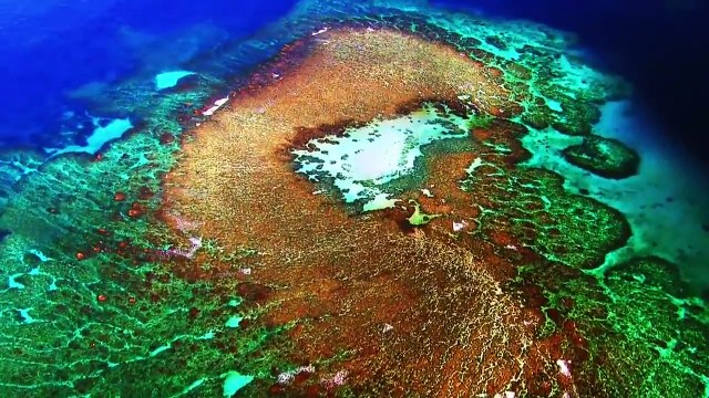 [Intro] Survivor 33 - Millenials vs. Gen X