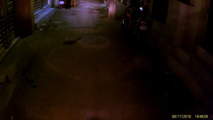 Shaheen Bagh Street Rider