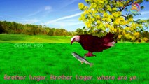 Eagle Finger Family Nursery kids 3d animated English rhymes