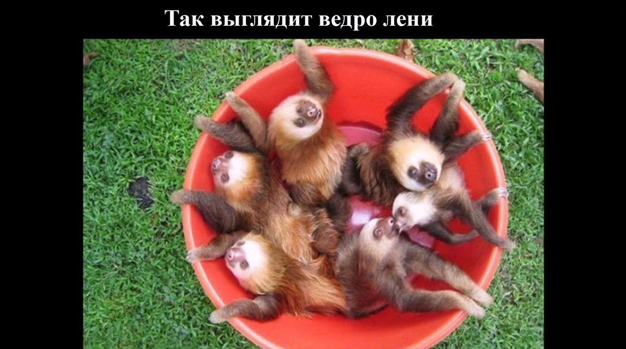 Приколы Лучшие Демотиваторы