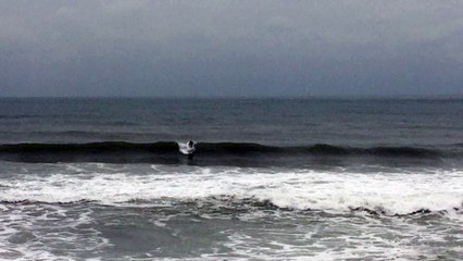 Les sables d'or d'Anglet