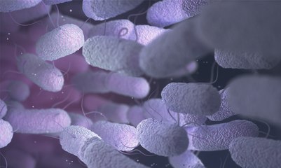 Salmonella Could Help Cure Multiple Cancers