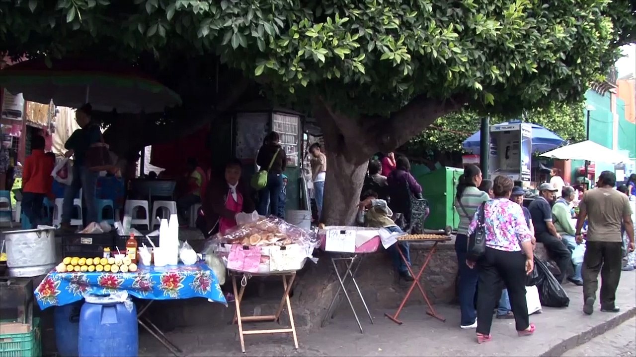 Fiscalización