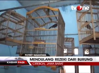 Mendulang Puluhan Juta Rupiah dari Hobi Pelihara Murai Batu