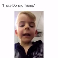 Donald trump AMERICAN ELECTION