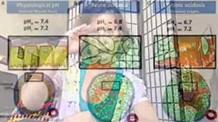 How we get Cancer (links in the description)