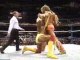 WWF Wrestlemania VII - Hulk Hogan Vs Ultimate Warrior Part 1