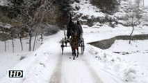 Fresh snowfall disrupts life in Kashmir Valley