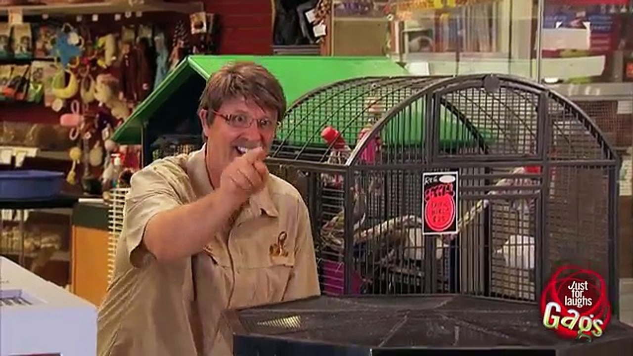 Baby For Sale Prank
