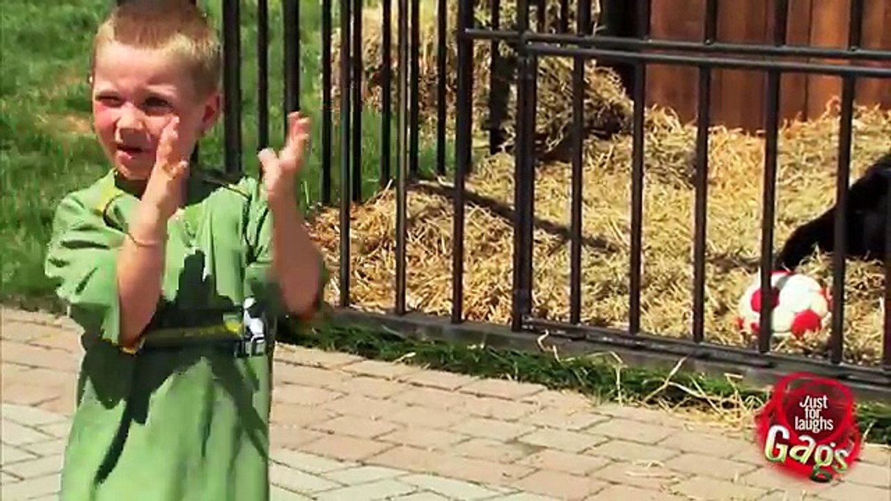 Crazy Kid Sneaks In Gorilla Cage