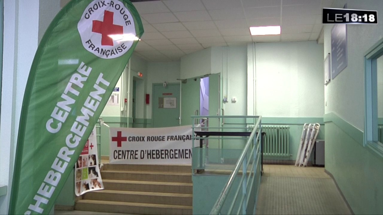 A Marseille, l'hébergement d'urgence accueille aussi les animaux