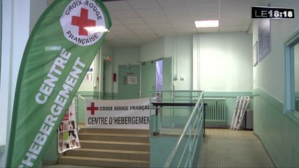 A Marseille, l'hébergement d'urgence accueille aussi les animaux