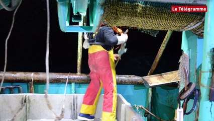Ferme éolienne de Groix. Deux scientifiques à bord du P'tit Jul II
