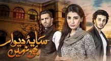 Saya e Dewar Bhi Nahi Episode 23 Full HD HUM TV Drama 18 January 2017 -
