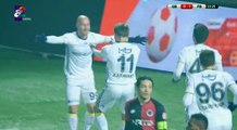 Gençlerbirliği Fenerbahçe 0 - 1 , Türkiye Ziraat Kupası , maçın golleri