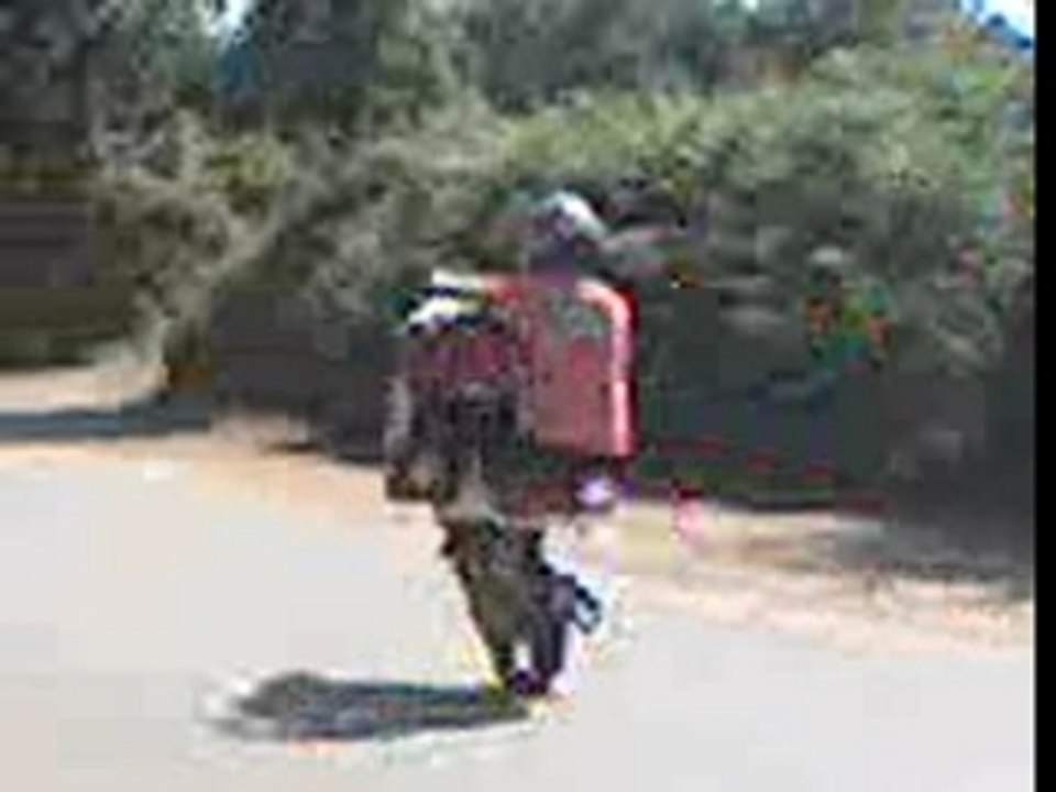 WEELING nitro polini corsa