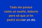 Julio Iglesias - Por El Amor De Una Mujer (Karaoke) (2)