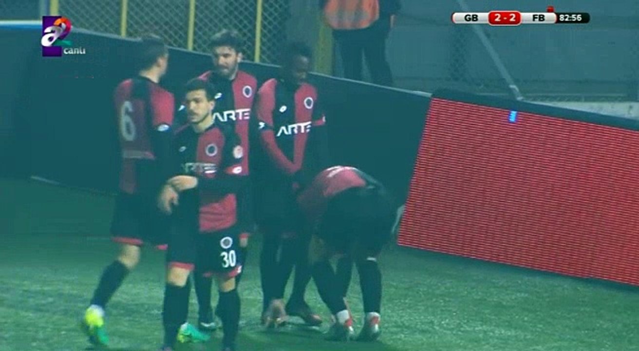 Gençlerbirliği Fenerbahçe 2 - 2 , Türkiye Ziraat Kupası , maçın golleri