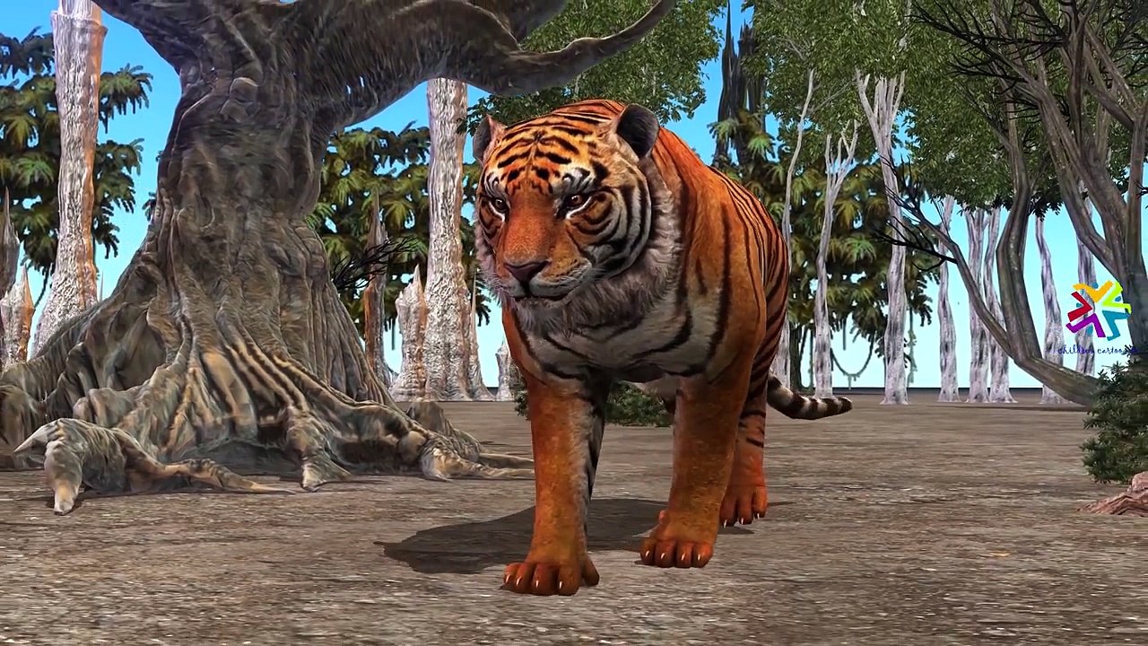 Tiger Finger Family Nursery Rhymes For Babies | Tiger Cartoons Finger Family Rhymes