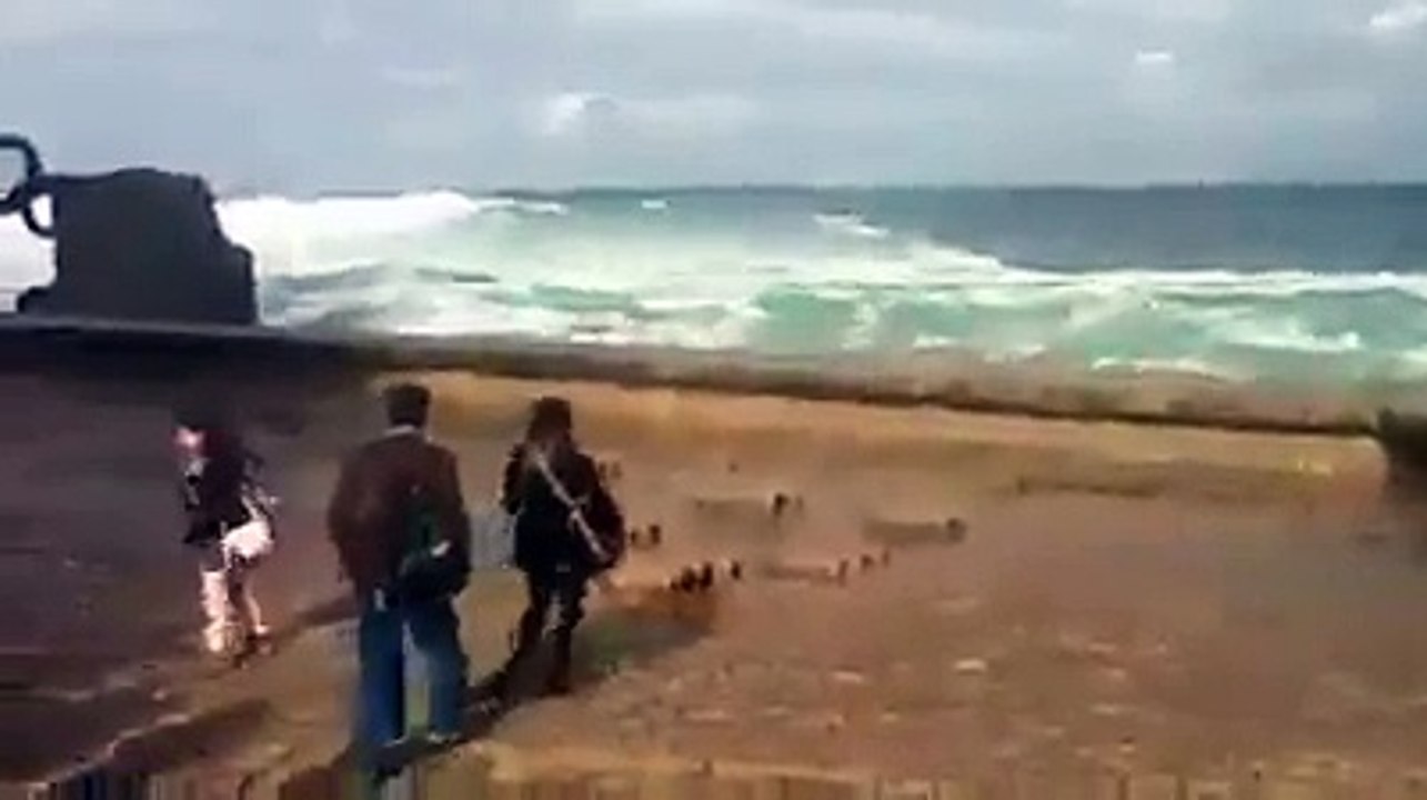 Funny Videos