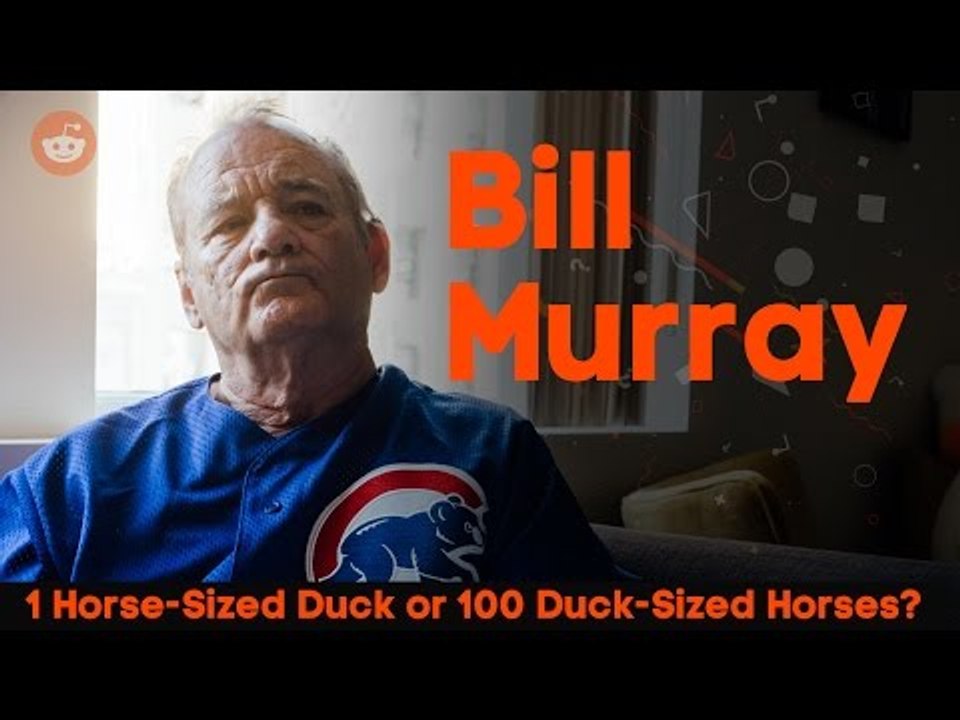 Bill Murray: Would you rather fight 1 Horse-Sized Duck or 100 Duck-Sized Horses?